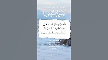 📚 سورة المؤمنون 🌳 الآية 41 #اكسبلور #المصحف #تيك_توك #قران_كريم #حالات_واتس #quran #صباح_الخير