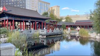 видео: Хуамин, самый известный китайский парк в Москве! #москва #китай #экскурсии картинка: Хуамин, самый известный китайский парк в Москве! #москва #китай #экскурсии