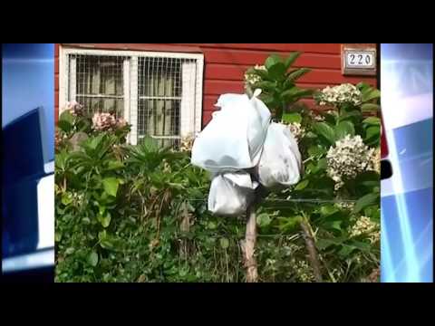 Recolección de Basura camera iphone 8 plus apk