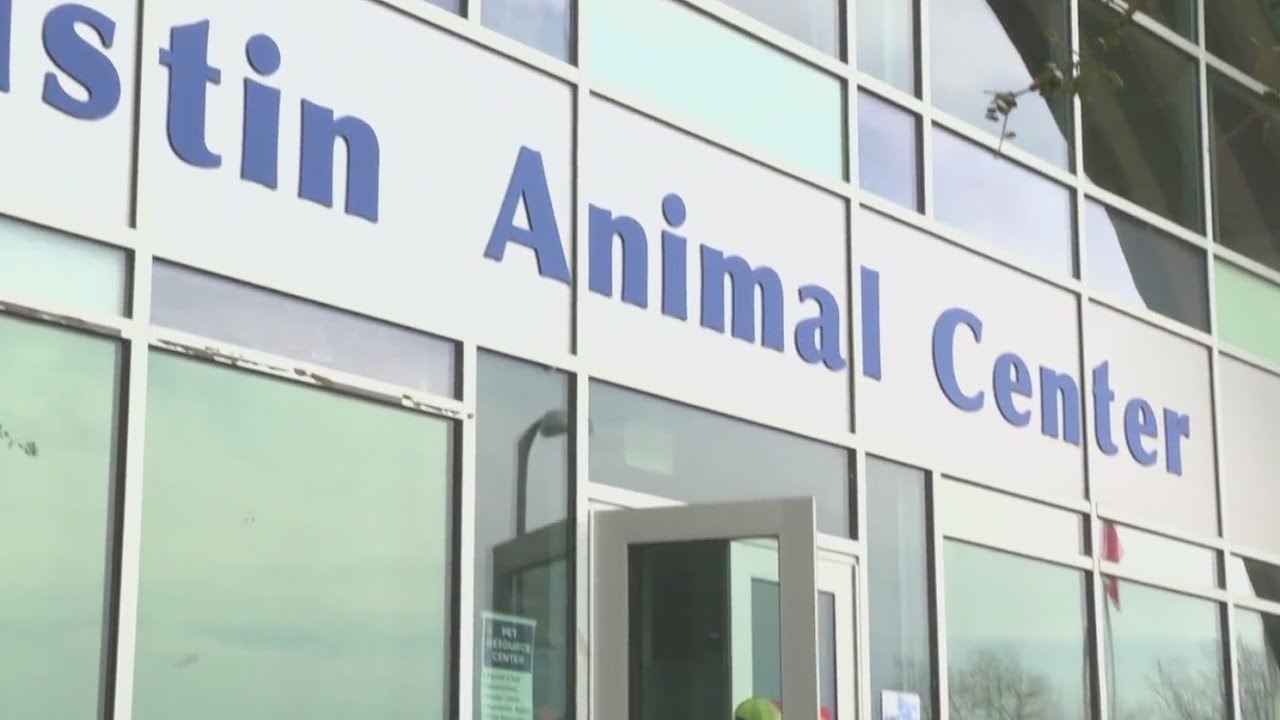 Austin-area animal shelters holding adoption specials Saturday to help with overcrowding