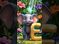 Meet the Cutest Baby Elephant! 🐘