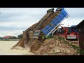 Incredible Dump Truck 10 Wheels Dumping Dirt into Water Filling Land with Power Bulldozer Working