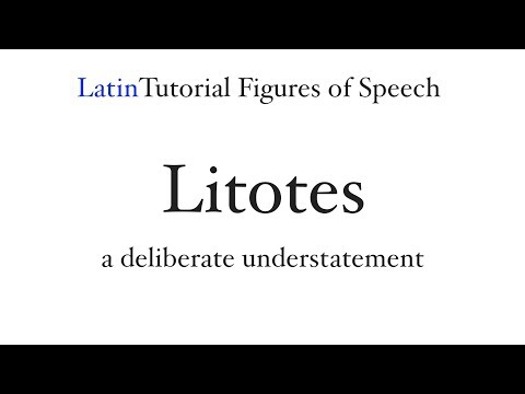 Video: What Is Litota