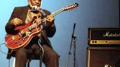 robert lockwood jr - live 1987