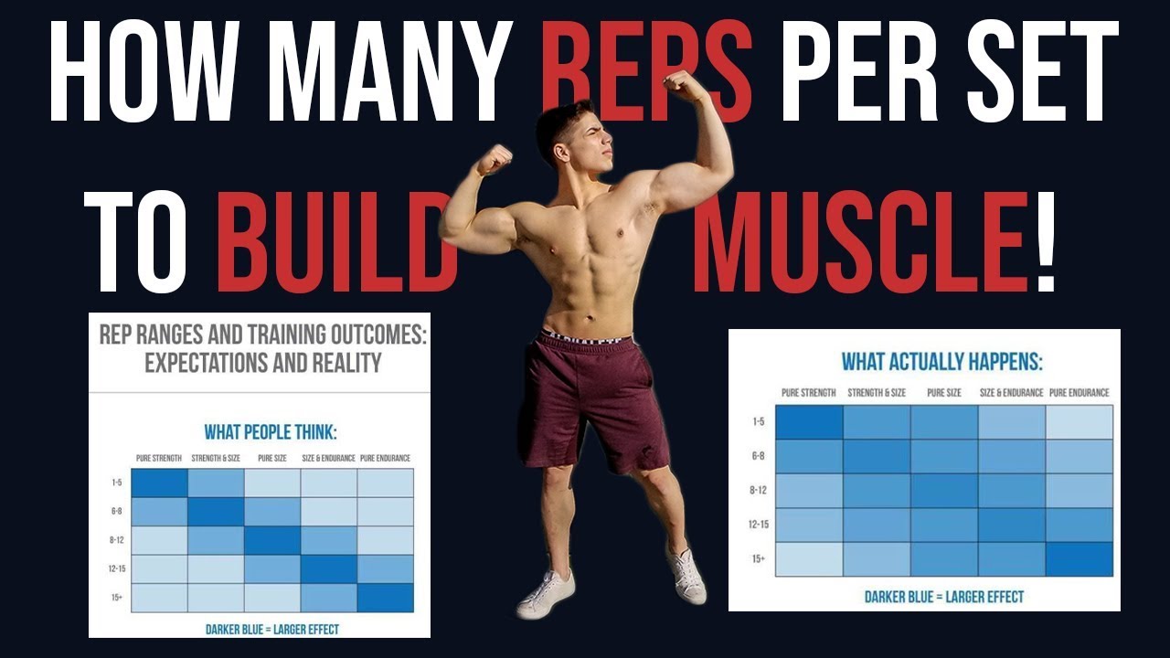 How Many Reps Per Set To Build Muscle Youtube