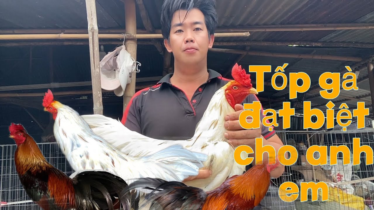 Tốp g.à siêu phẩm cho anh em lựa trọn lh .(.0.3.9.2.9.4.9.4.1.2.)/