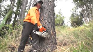 chainsaw level indicator tool by psi safety