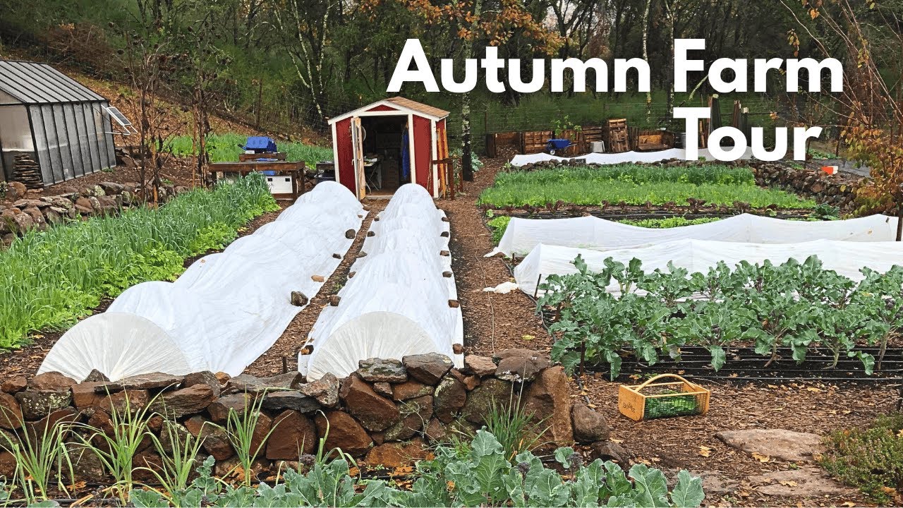 Educational Tour of Stepping Stone Farm | Biodynamic No Till Market Garden in November