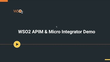 WSO2 APIM and MI Use Case - Payment Service API