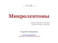 Микролептоны:  Субэлектронные частицы – составляющие электрона.