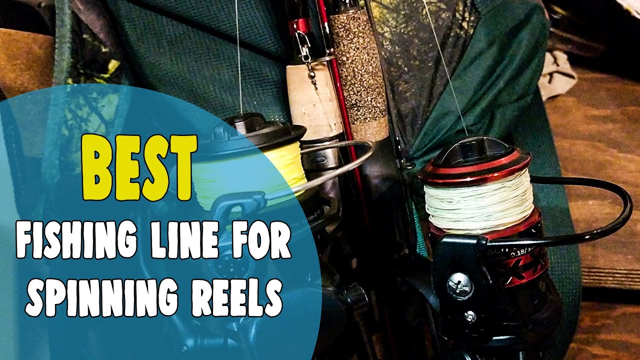 Best Fishing Line for Spinning Reels in 2021 – Real Field Reviews 