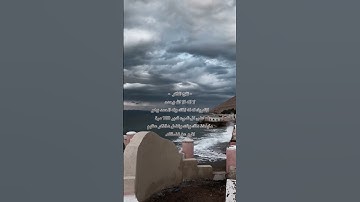 القارئ | نبيل الرفاعي