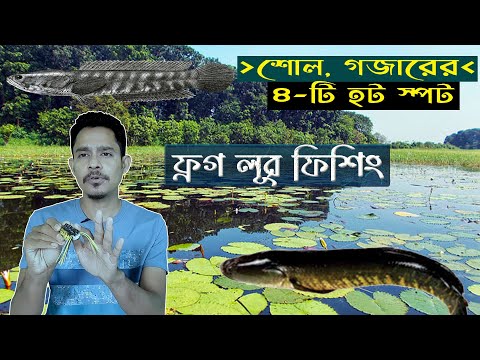 ভিডিও: লেকে ক্যাটফিশের জন্য মাছ ধরার টিপস