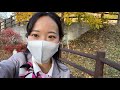 ８０ 修学旅行ハイシーズンのとある９日間 〜バスガイドver.〜