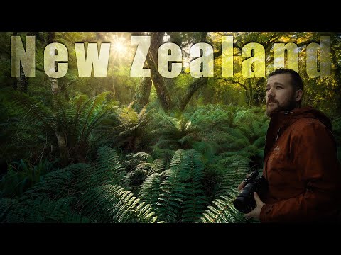 Photographing New Zealand with William Patino
