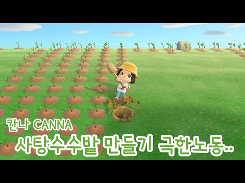 칸나촌장 모동숲 섬꾸미기 지형 공사 과정 겁나 힘든데 이거 힐링게임 맞나요 mp3 칸나촌장 모동숲 섬꾸미기 지형 공사 과정 겁나 힘든데 이거 힐링게임 맞나요 Mp3