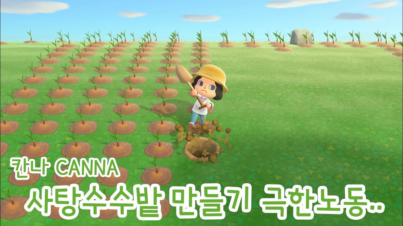 모동숲 강제노역섬 전체를 사탕수수밭으로 만드는 중!! - YouTube 모동숲 강제노역섬 전체를 사탕수수밭으로 만드는 중!! - Youtube