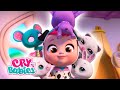 Ep 16  dotty the pets arent feeling well  cry babies magic tears new episode cartoons for kids