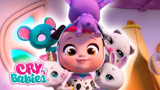 Ep 16 | Dotty, the pets aren't feeling well | Cry Babies Magic Tears 💕New Episode |Cartoons for Kids