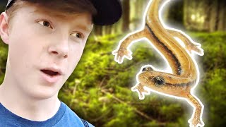 Risking my life for salamanders lmao by Erongiloo 96 views 5 months ago 10 minutes, 52 seconds