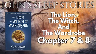 Sleep Story - The Lion, The Witch, And the Wardrobe by CS Lewis Chapters 7 and 8 (With Rain Sounds)