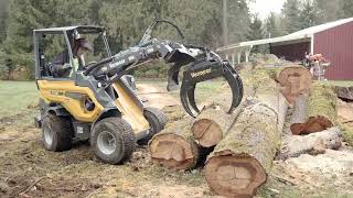 PNW arborist crew demos a Vermeer AXT720 compact wheel loader