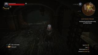 The Witcher 3 06 04 2017 17 13 23 01