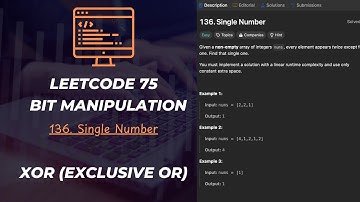 Bit manipulation🔥 | LEETCODE 75 | 136. Single Number | XOR (exclusive OR)