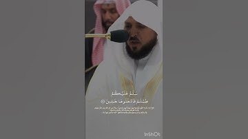 ما تسير من سورة {الزمر} بصوت الشيخ ماهر المعيقلي✨.