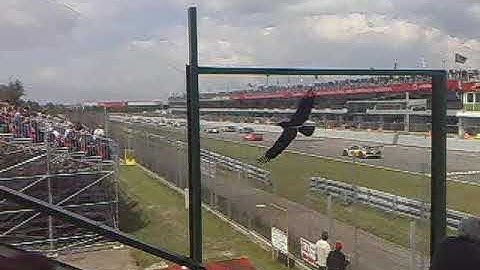 FiA GT 2010 - Brno Masaryk Circuit #1