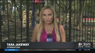 Brownsville Shooting Leaves 1 Dead, 11 Injured