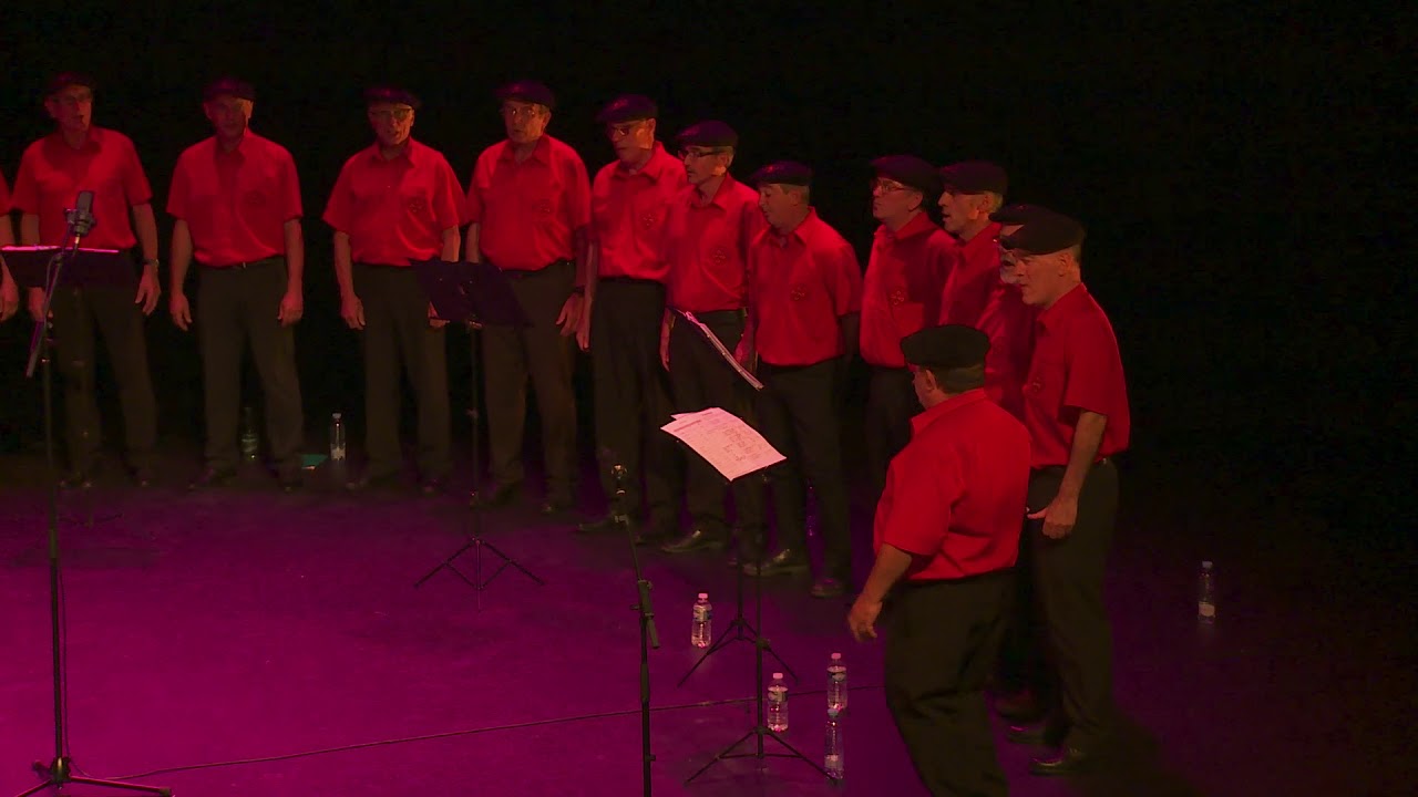 Les mâles au chœur de Tolosa  Hegoak