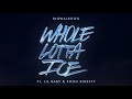 BigWalkDog - Whole Lotta Ice (feat. Lil Baby & Pooh Shiesty) [Official Audio]