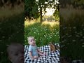 Baby Picknick #baby #funny #cute #shorts #ai #Nature #pet