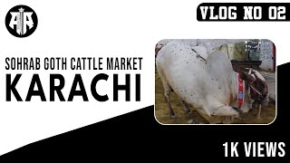 Vlog No 02 | Karachi Cow Mandi | Sohrab Goth | Pakistan | 2019 |HD