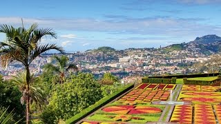 Botanical Gardens Madeira-Funchal. 01.11.15 MSC Splendida(HD)