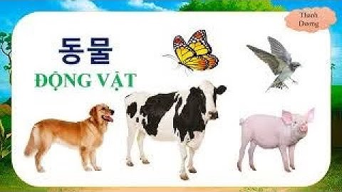 Thế giới động vật cho bé - Từ vựng tiếng Hàn về Động Vật - 동물 - Phần 1| Thanh Dương Vlog.