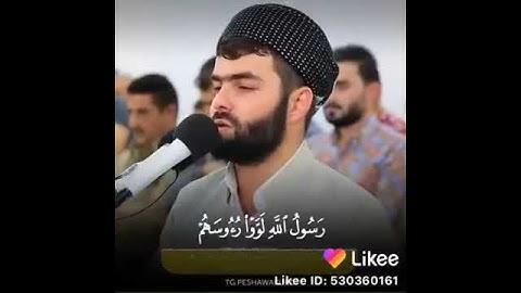 سورة المنافقين