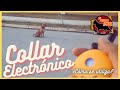 Cómo se utiliza el Collar Electrónico de forma CORRECTA