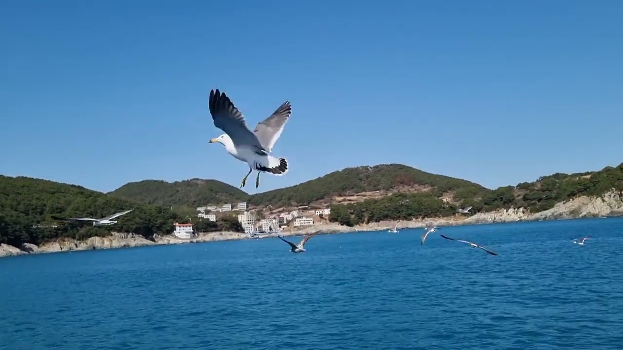 거제 해금강 유람선 타고...