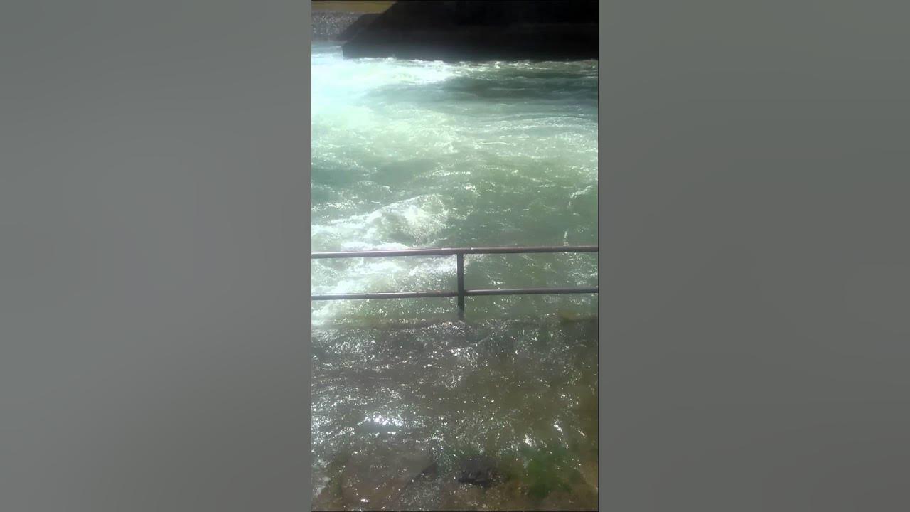 Leesville dam fishing YouTube