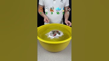 TRY TO GUESS HOW MANY TISSUES PAPER IT TOOKS! #experiment #asmr #satisfying #tissuepaper