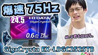 【I-O DATA GigaCrysta  EX-LDGC252STB】PS4・Switchにおすすめの多機能ゲーミングモニターを徹底レビュー！75Hz対応で応答速度も爆速！！