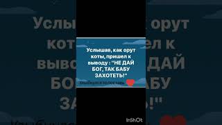 Всем привет у меня начинающий канал по приколам каждый день приколы анекдоты  подержите подпиской