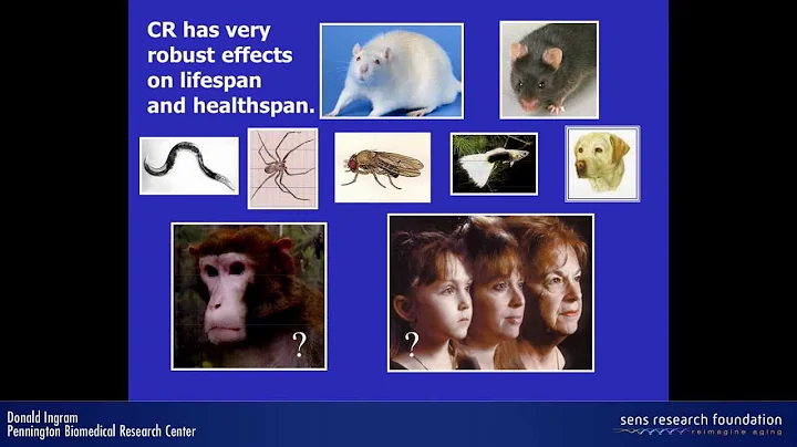 Monkeying around with calorie restriction: is a ca...