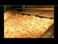 how potato chips are made