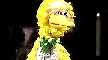 Muppet Songs: Big Bird - Bein