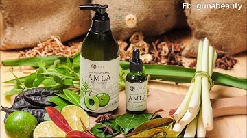 GIỚI THIỆU BỘ DẦU GỘI NGĂN RỤNG TÓC VÀ KÍCH THÍCH MỌC TÓC AMLA