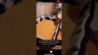 حلى التمر بالنسكافيه على طريقة عواطف ام صبا - سنابات عواطف ام صبا