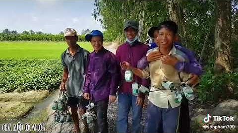 cách bắt chuột bằng lon bia nha ae